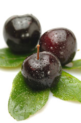 Plums - Susine