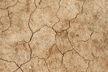 Dry soil