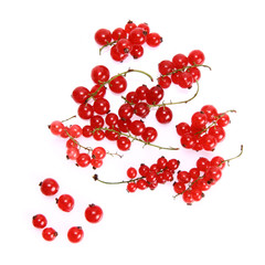 Red Currant: bunch of fruit on white background
