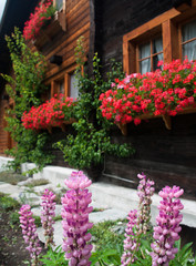 Naklejka premium Domek kwiatowy w Alpach w górach