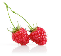fresh raspberry fruits with green leaves