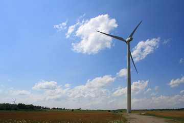 wind turbine