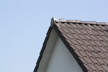 Vogelmist am Dachgipfel