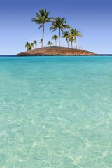 Fototapeta na wymiar Paradise palmy wyspa tropikalna plaża turkus