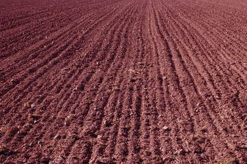 Arable.
