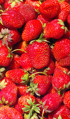 strawberry.background