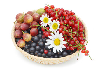 Basket with berries