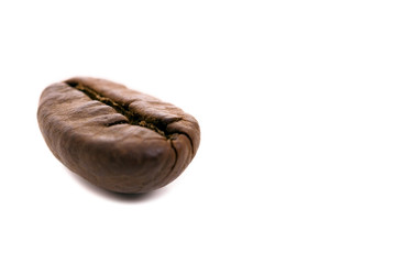 macro shot of coffee bean, isolated on white