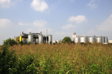 Italy: biodiesel production