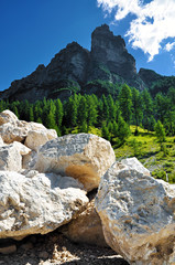 dettaglio dolomiti da una cava