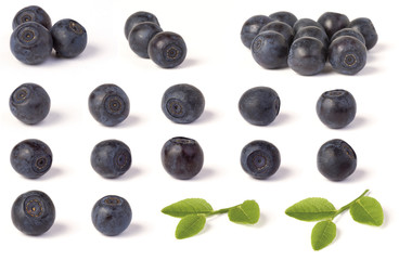 Various wild blueberries