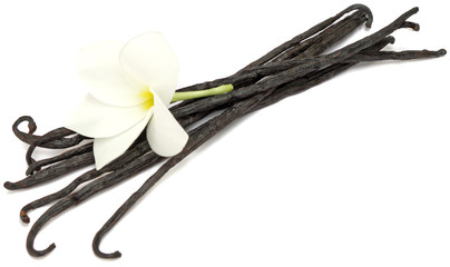 vanille Bourbon, fond blanc