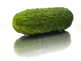 cucumber