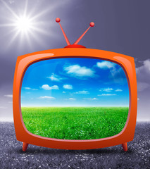 TV su prato verde