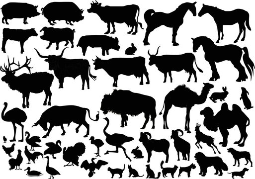 collection of farm animals silhouettes