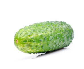 Cucumber