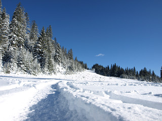 Fototapeta na wymiar śnieg