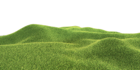 hügelwiese im frühling