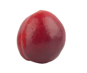 nectarine