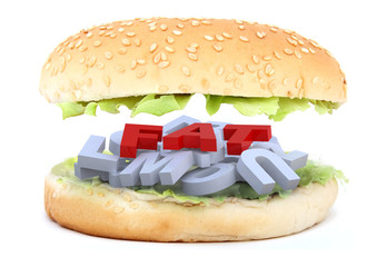 hamburger fat