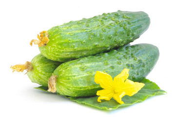 cucumbers