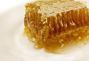 Медовые соты