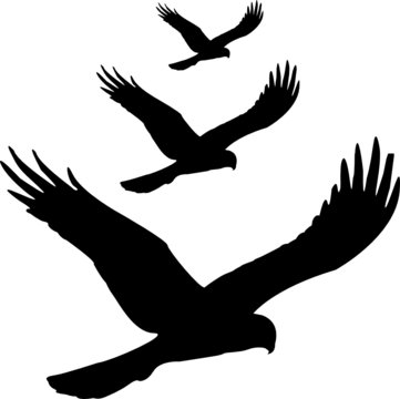 black birds flying silhouette clip art preview