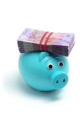 Dollar Notes on Piggy Bank