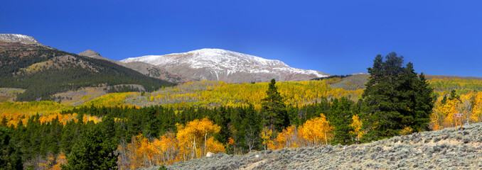 Fototapeta na wymiar Jesień w Colorado