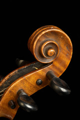Violin close up