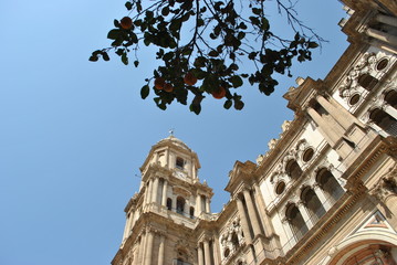 Cathedral in Seville, Spain