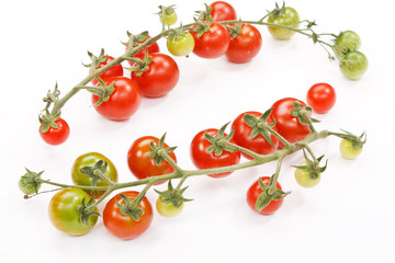 fresh tomatoes