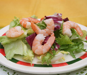 Frischer Salat mit Garnelen