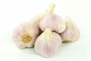 Argentinean Garlic.