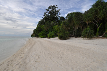 Exotic Island Beach