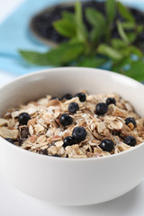 Granola with fresh wild blueberries. Shallow DOF