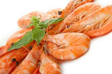 crustacé, crevettes