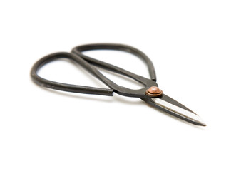 pair of small clippers used for houseplants and bonsai;