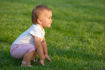 Little girl discovering the meadow