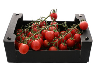Tomates en branches