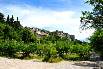 Fototapeta na wymiar Baux de Provence - widok gajów oliwnych