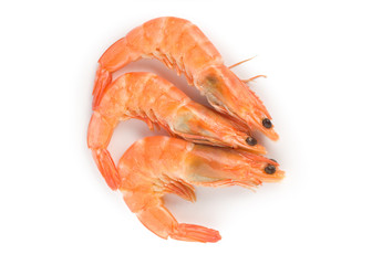 Prepared shrimp isolated