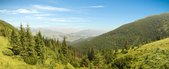 Carpathian mountains landscape panorama