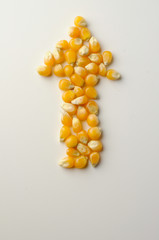 Richtung gesundes Leben