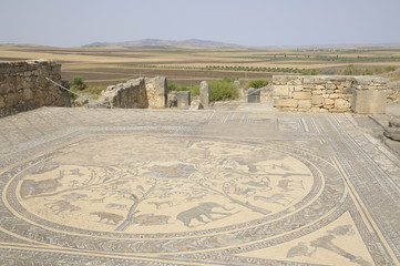 Obraz premium Vue d'une mosaïque de Volubilis