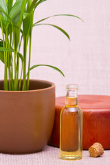 Essential oils for massage