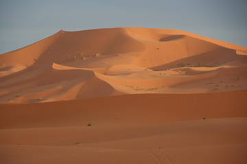 Fototapeta na wymiar Sanddünen im Erg Chebbi, Sahara - Marokko