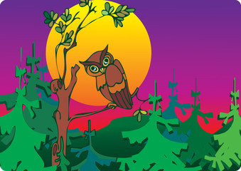 Fototapeta premium Owl in woods. Place for your text. Vector art-illustration.