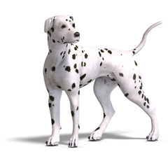 Dalmation Dog. 3D rendering with clipping path and shadow over w