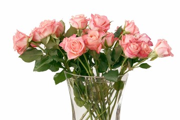 pink roses in posy